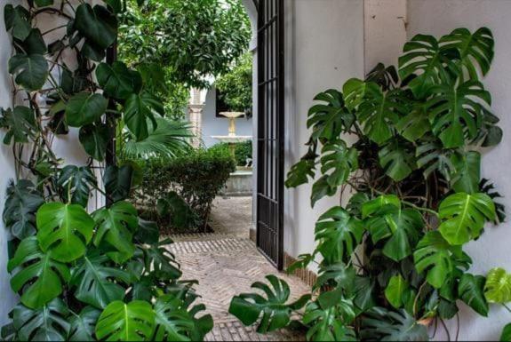 Apartamento En Un Dormitorio En Plaza Alfaro Sevilla Eksteriør bilde